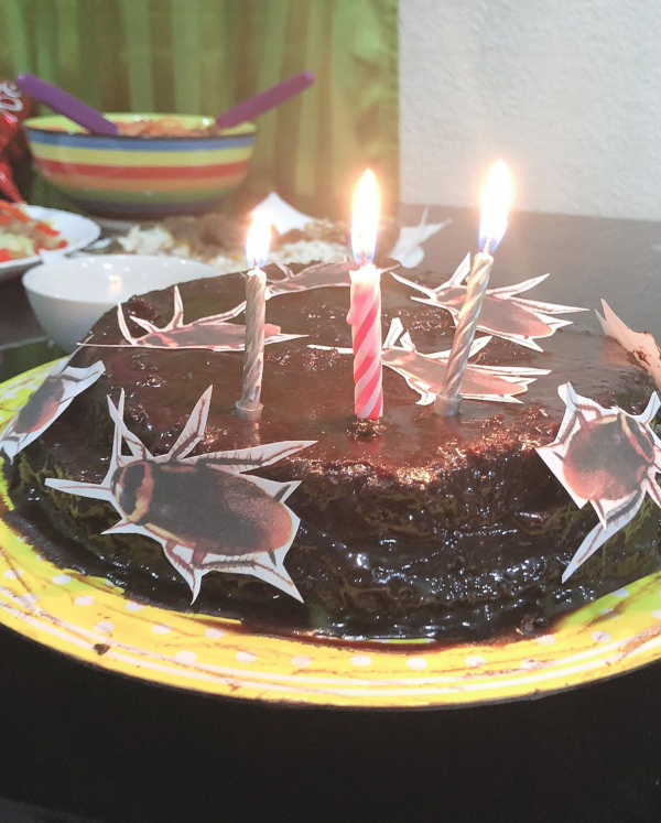 melai cantiveros cockroach cake