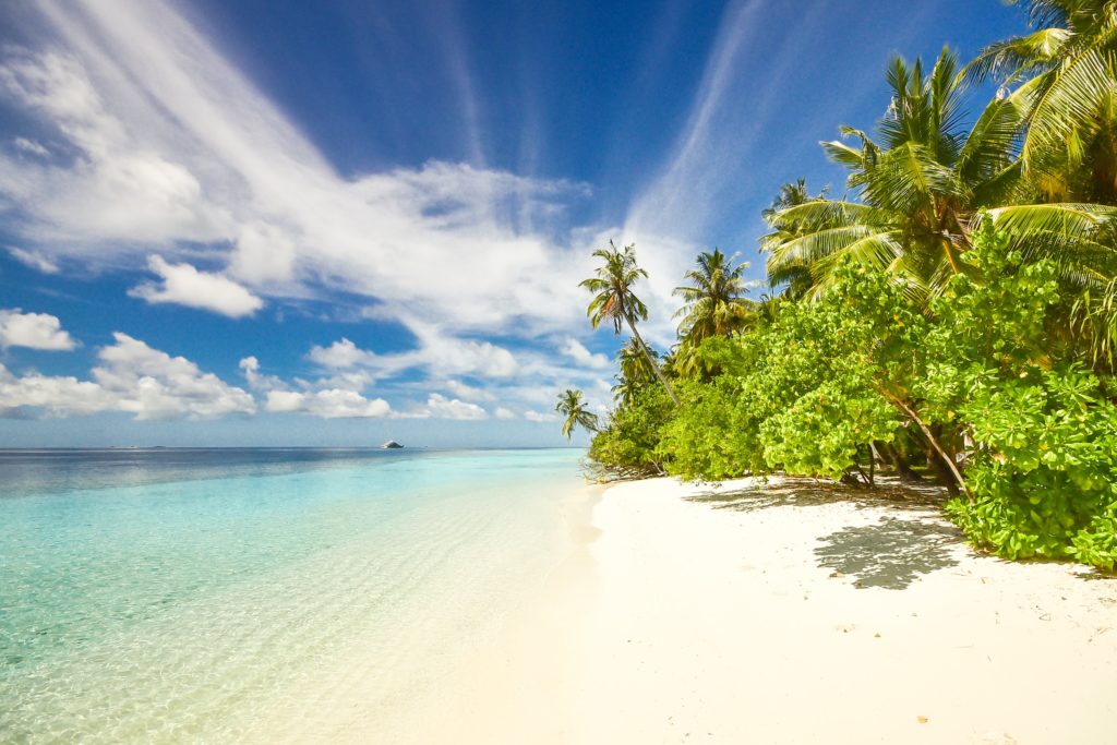 beach stock photo