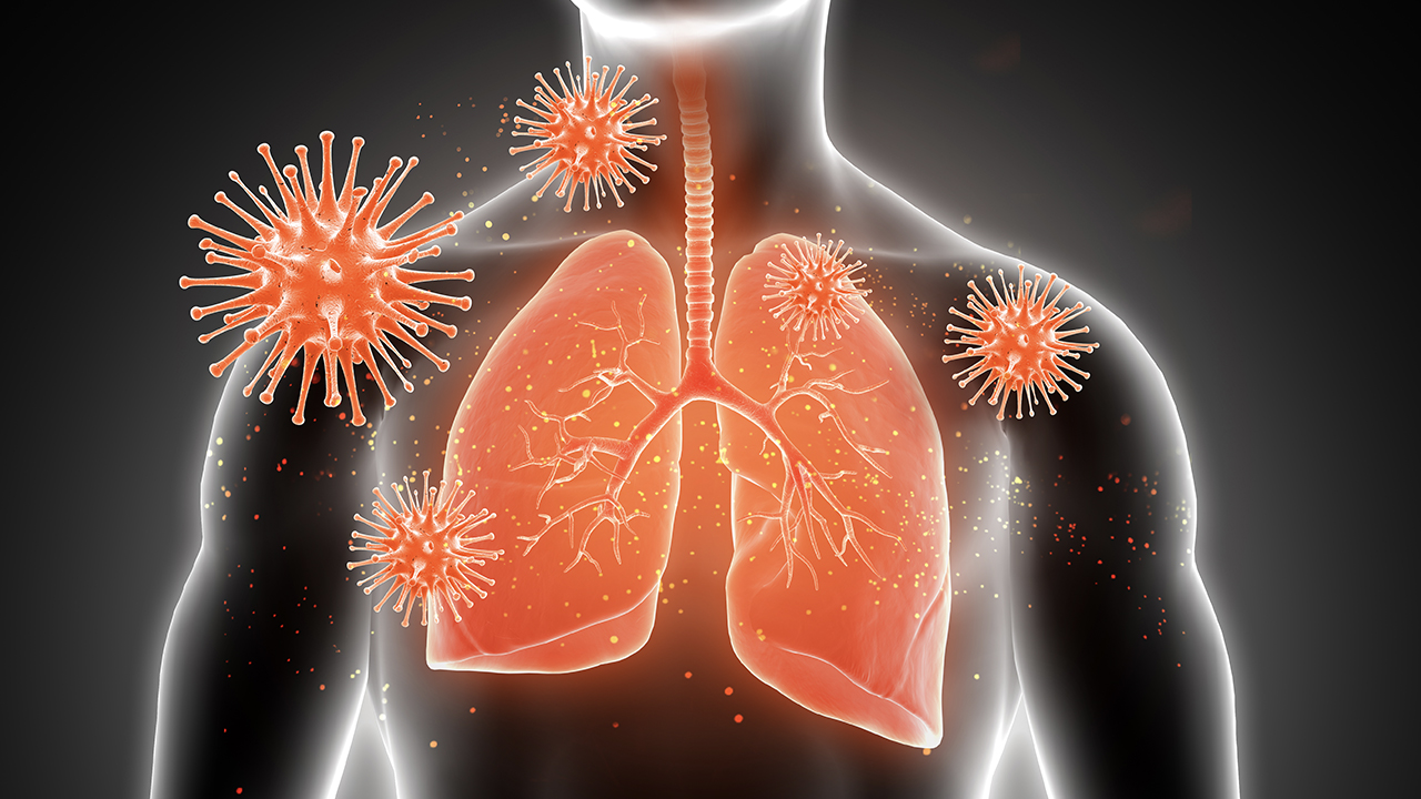 coronavirus lungs