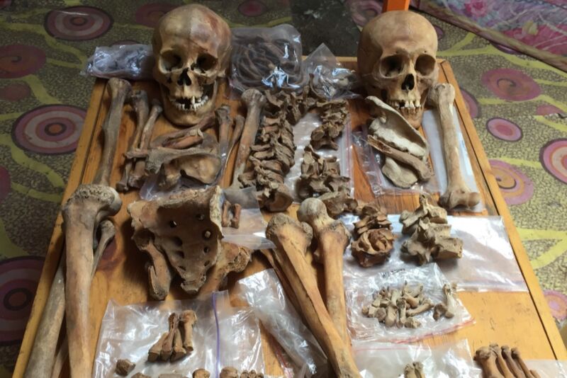 mulan bones