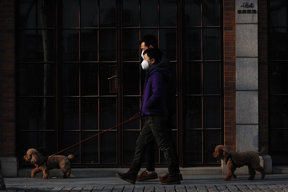 covid 19 people walk dog face mask