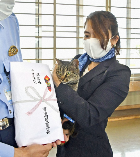 koko the cat police honors 2