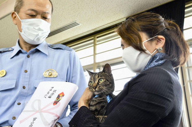 koko the cat police honors