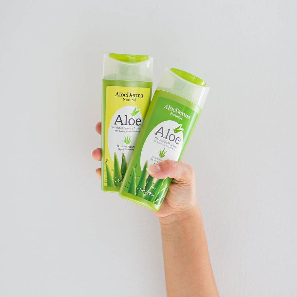 AloeDerma shampoo and conditioner