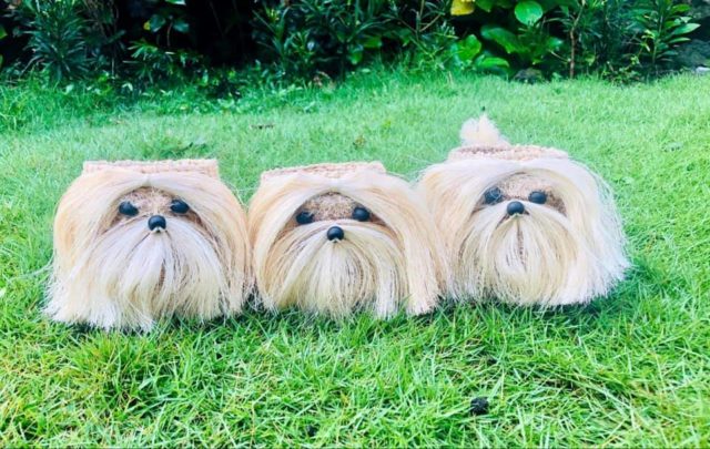 LOOK: These abaca plant baskets are aDOGrable, and we want them now 4 Photo from Arielle Red