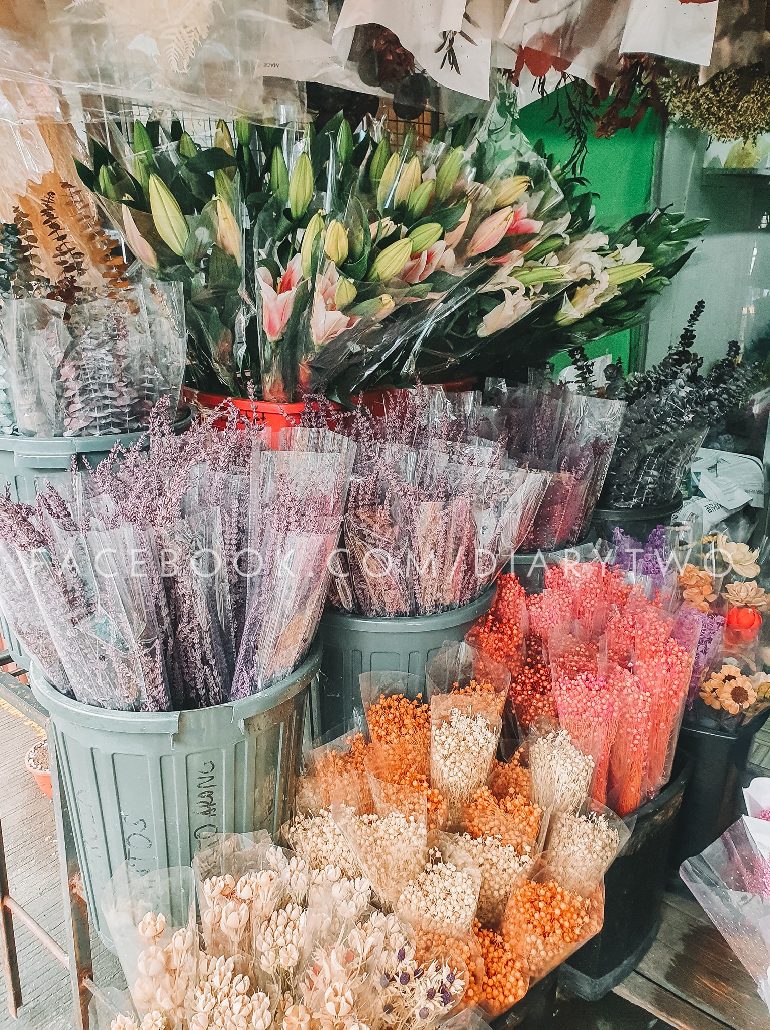 From fresh to pressed Here's a look at Dangwa's blooms in the new