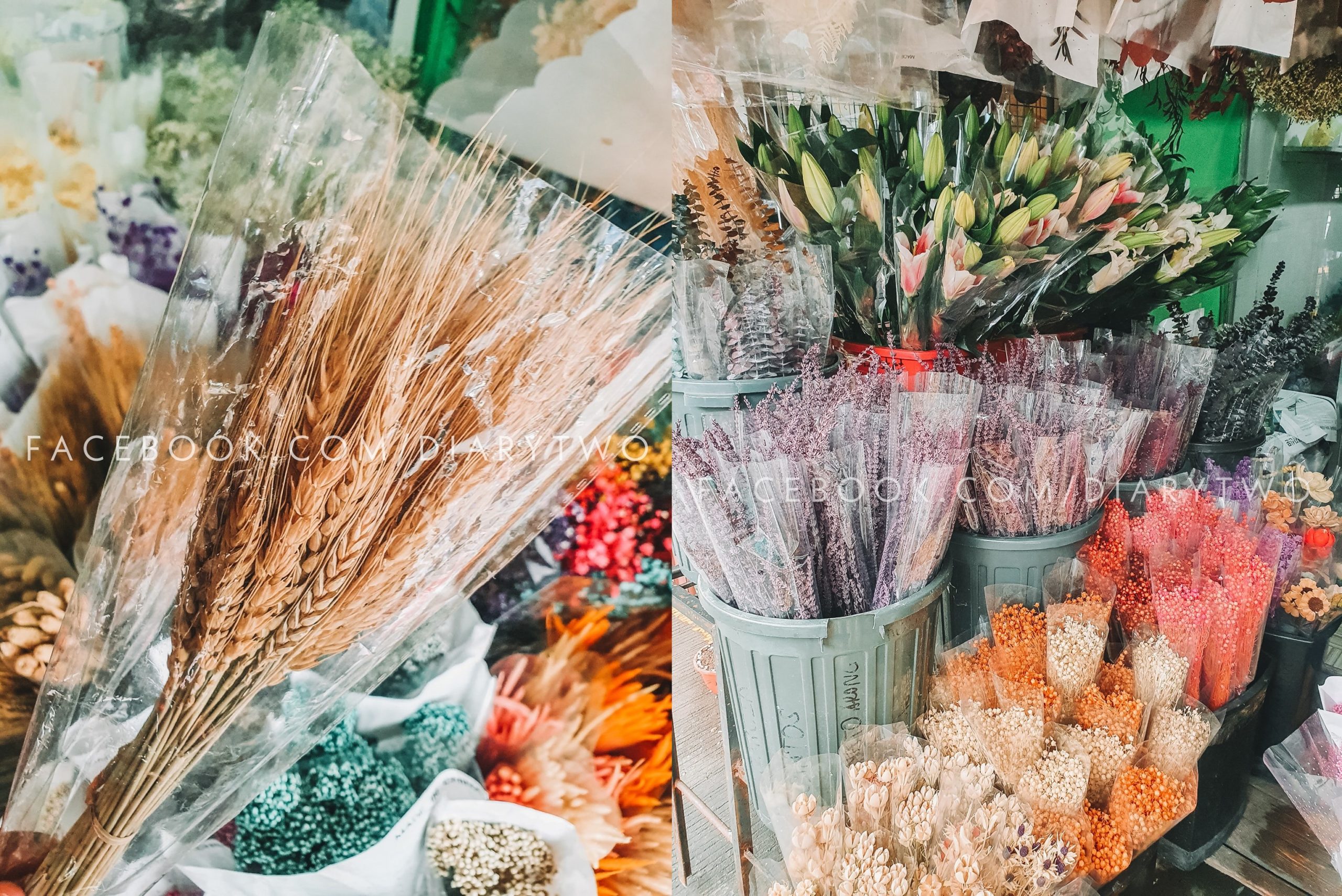 Kinds Of Flowers Available In Dangwa Best Flower Site