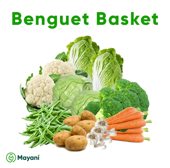 affiliate mayani.ph 4 benguet basket