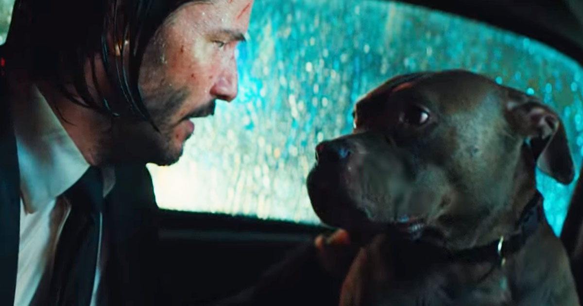 john wick dog keanu reeves