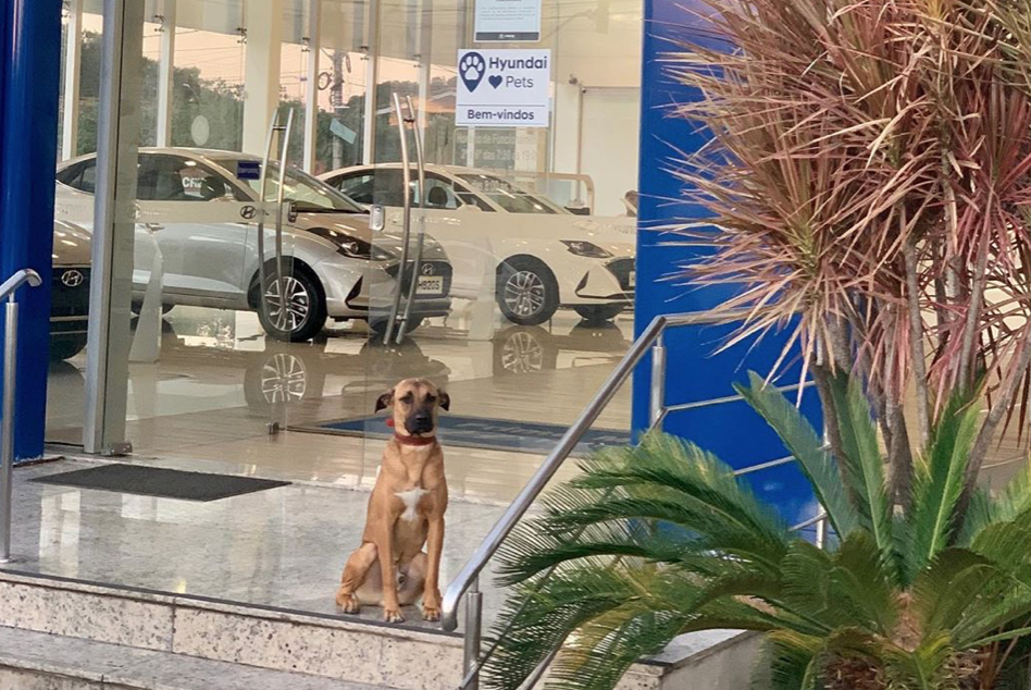 tucson prime hyundai brazil