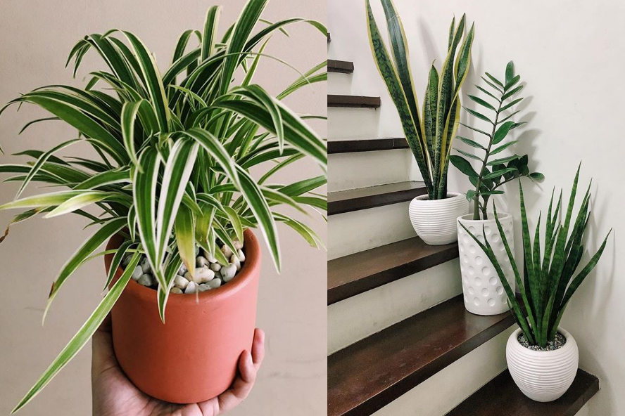 Photo from Indoorphins PH