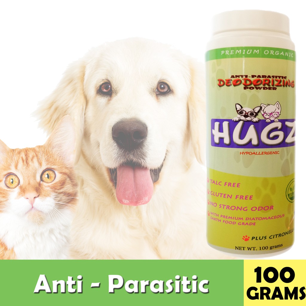 Getting a new pet? Here are 10 things you'll need for them! When In