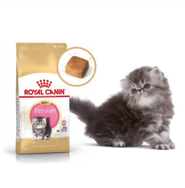 Royal Canin Persian Kitten 500g