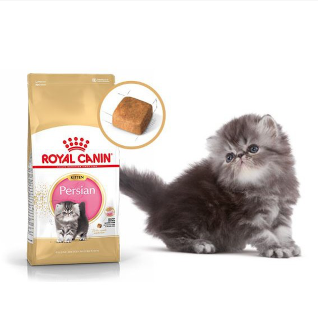 Keep your pet healthy with these food options you can buy online 10 Royal Canin Persian Kitten 500g