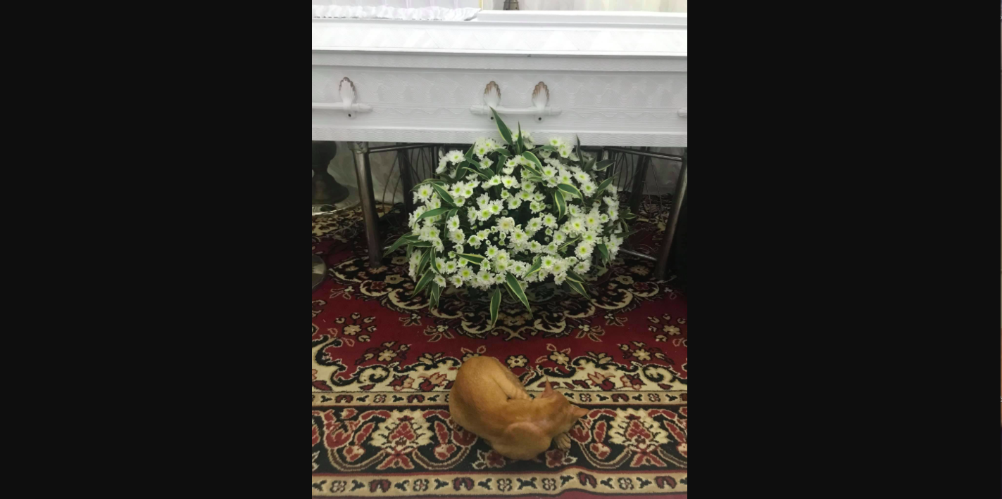 Screen Shot 2020 10 21 at 4.07.28 PM