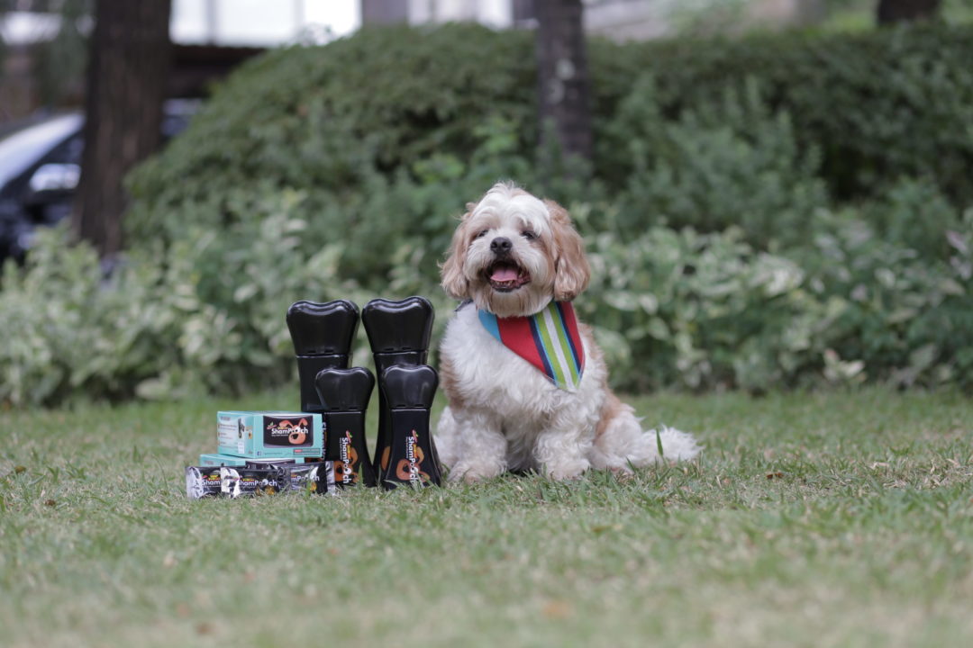 TOPBREED 3 scaled e1602327159433