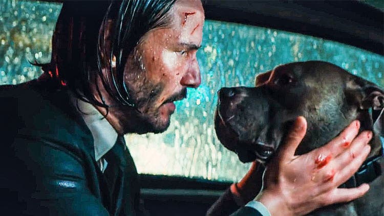 keanu reeves dog i love you