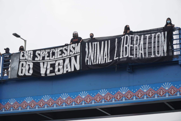 Pinoy Animal Rights Activists Organize Banner Drop to Call for Animal  Liberation - When In Manila