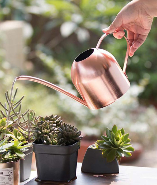 rose gold watering can