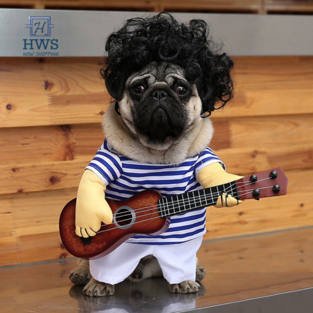 Pet Costumes for Dogs Guitar Player
