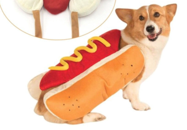Pet Costumes for Dogs Hotdog
