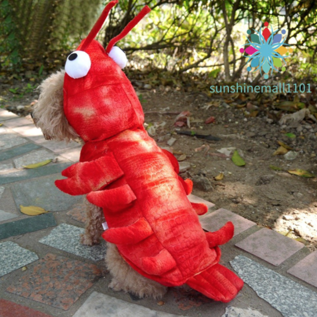 Pet Costumes for Dogs Lobster