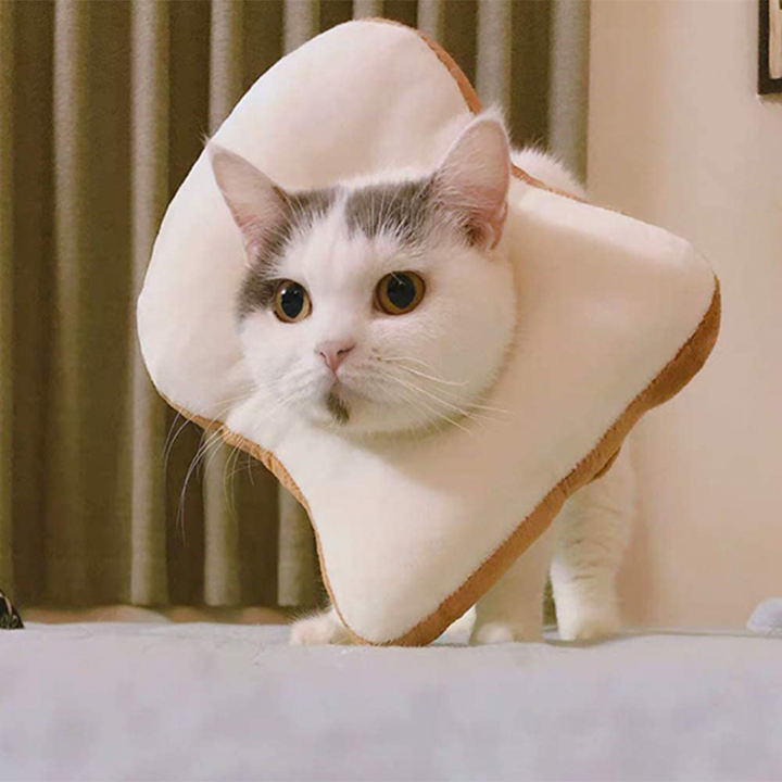 pet costumes bread