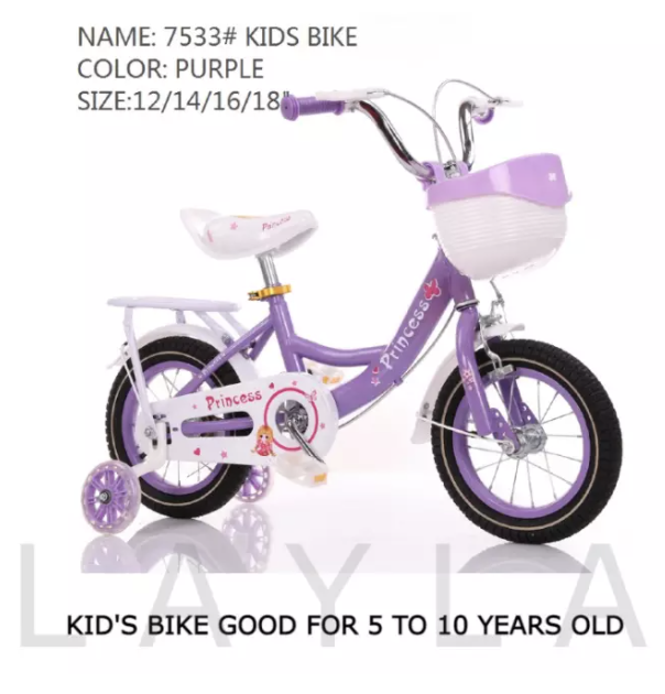 Purple Princess Bike for Kids 1