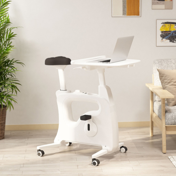 flexispot standing desk bike 1