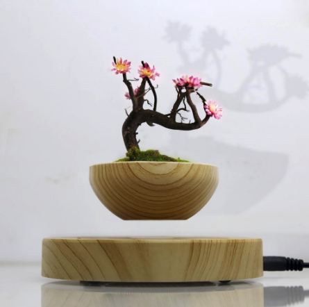 LOOK: This Levitating Plant Pot Is a Must-Have for Any Plantita 2 floating pot2