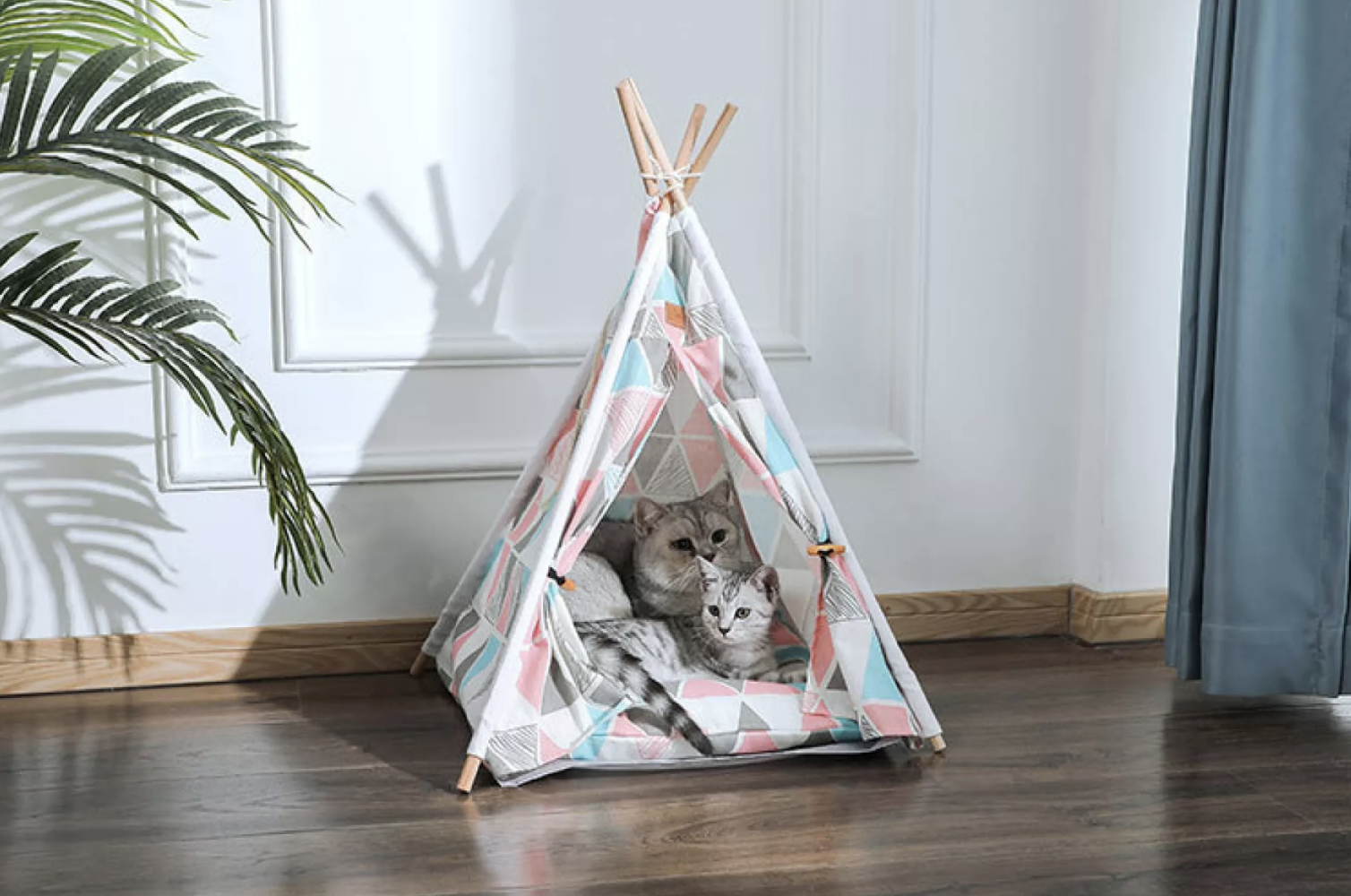 Screen Shot 2021 06 06 at 3.06.03 AM