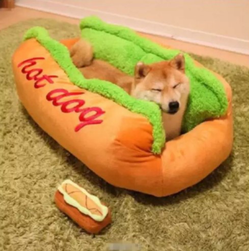 hotdog petbed