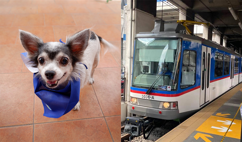 MRT Pets
