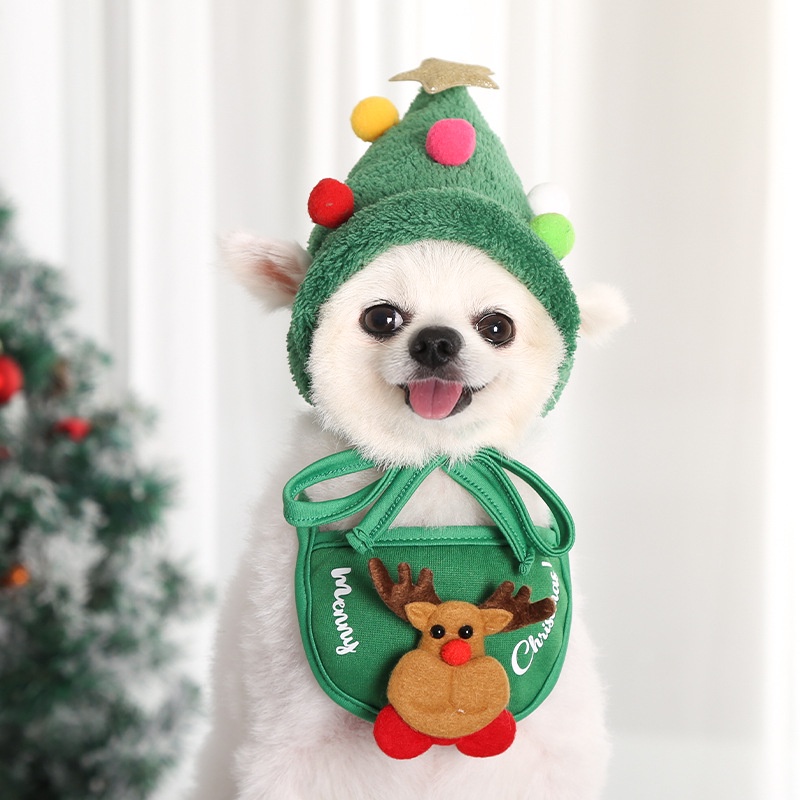 christmas outfit for pet