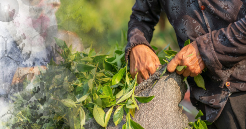 hack4food rotary club of makati header