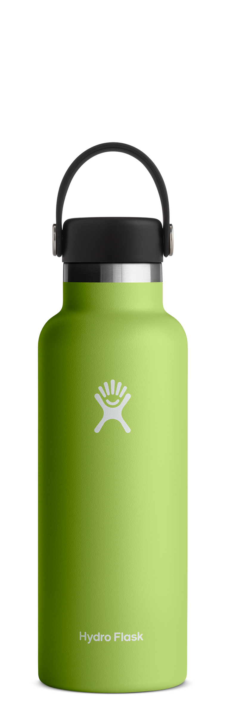 Hydro Flask 18 oz Standard Mouth Seagrass