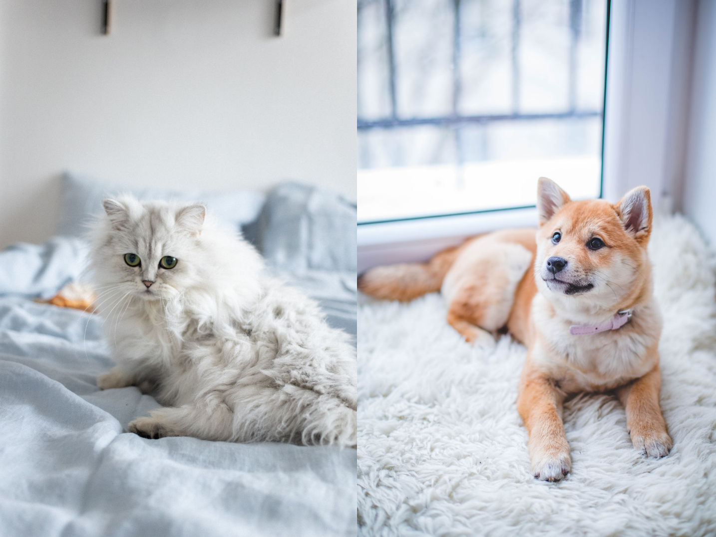 SKY GAVIN WATERMARK 23