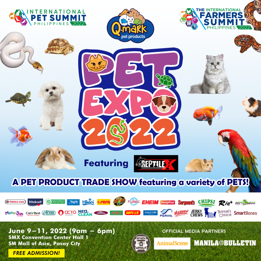 From Birds to Reptiles, See Different Kinds of Unique Pets at This Pet