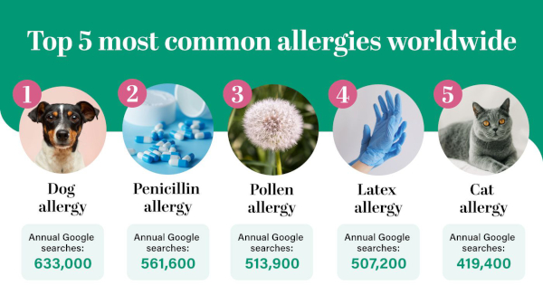 most common allergies in the world