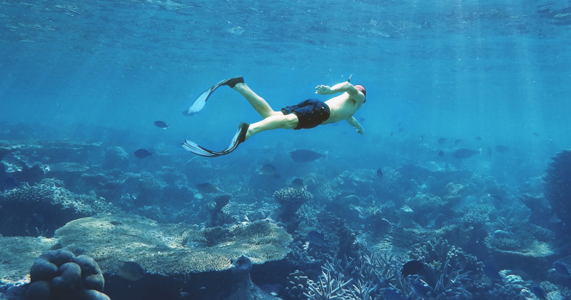 philippines snorkeling underwater sea swimming coral reefs stock header