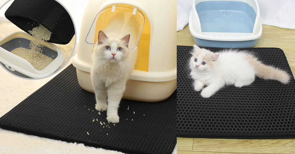 cat litter mat