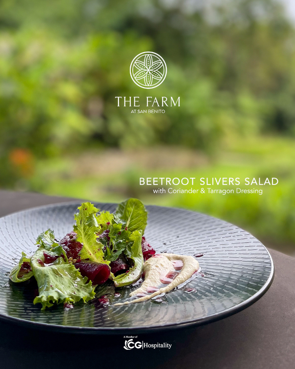 Beetroot Slivers Salad with Coriander Tarragon Dressing