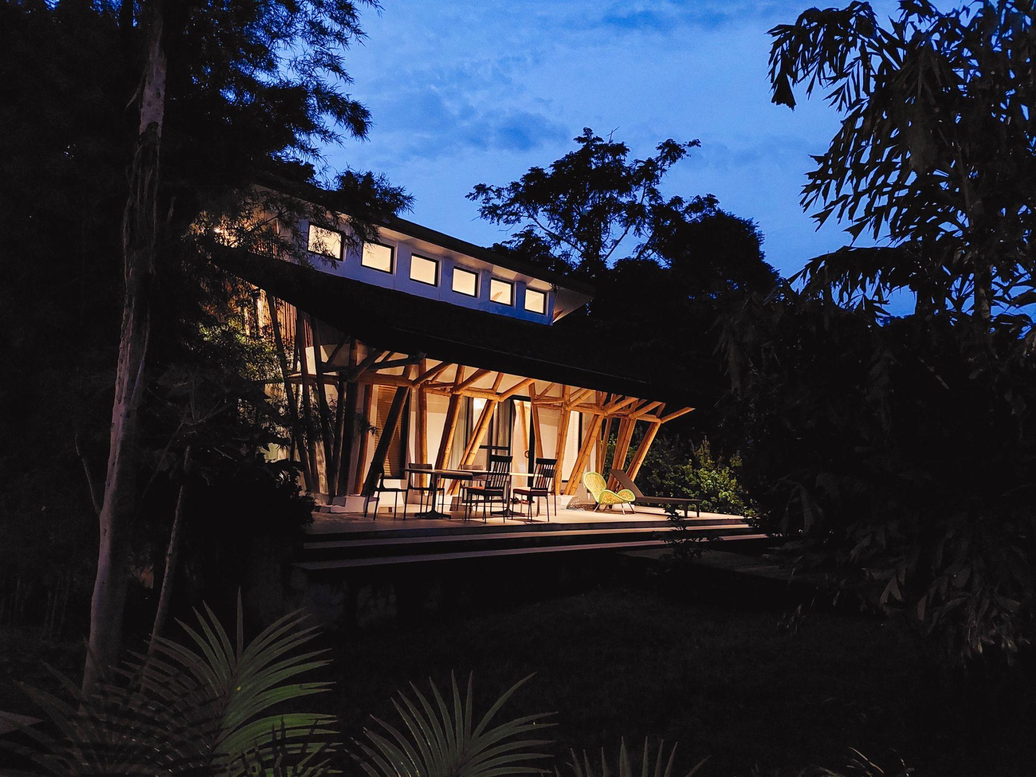 Pet Friendly Airbnbs For Your Next Holiday Gathering When In Manila