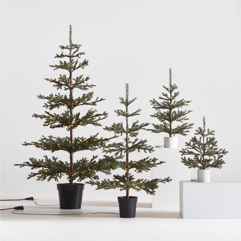 Crate and Barrel Christmas Trees