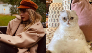Taylor Swift's Cat Olivia Benson Is One of the Richest Pets in the World ?  - When In Manila