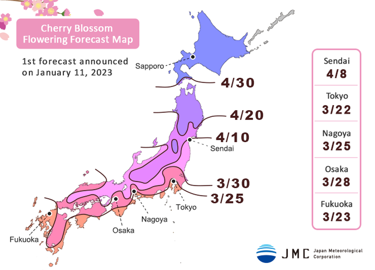 sakura forecast 2023