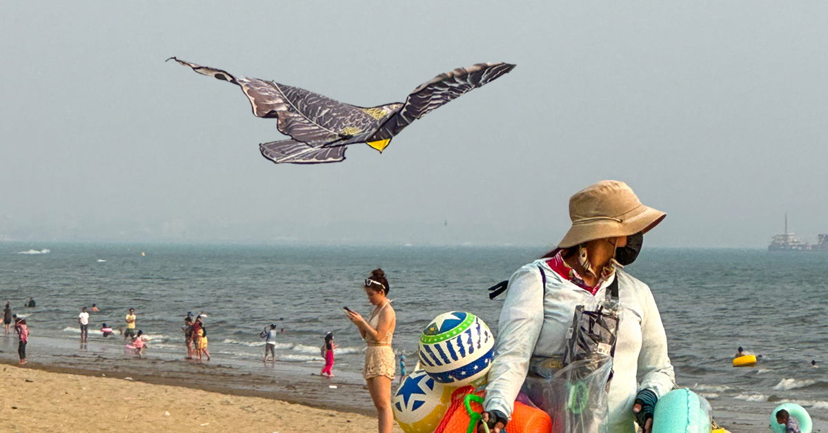 Support local and fly a kite for fun!