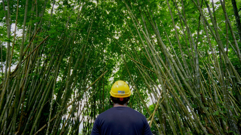 Nat Geo Presents To Bamboo or Not To Bamboo L2
