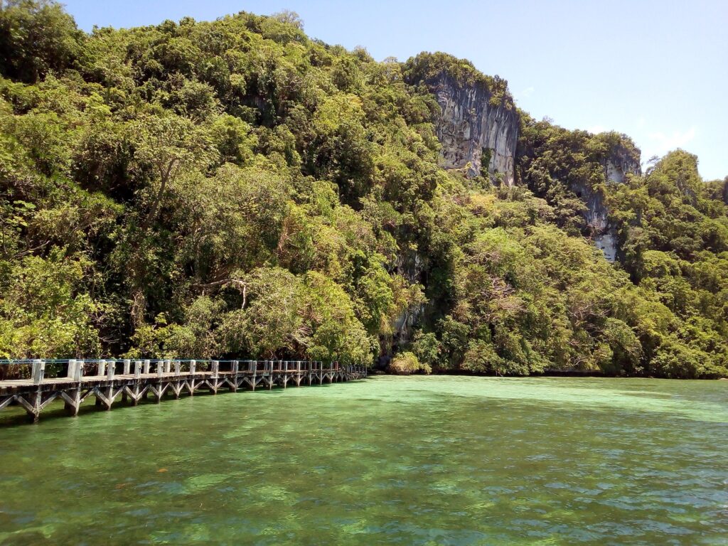 There are 18 National Museums in the Philippines. Here's Where You Can Find Them 12 National Museum Tabon Caves Site Museum