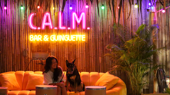 It is a pet-friendly restaurant in Bangkok, too!